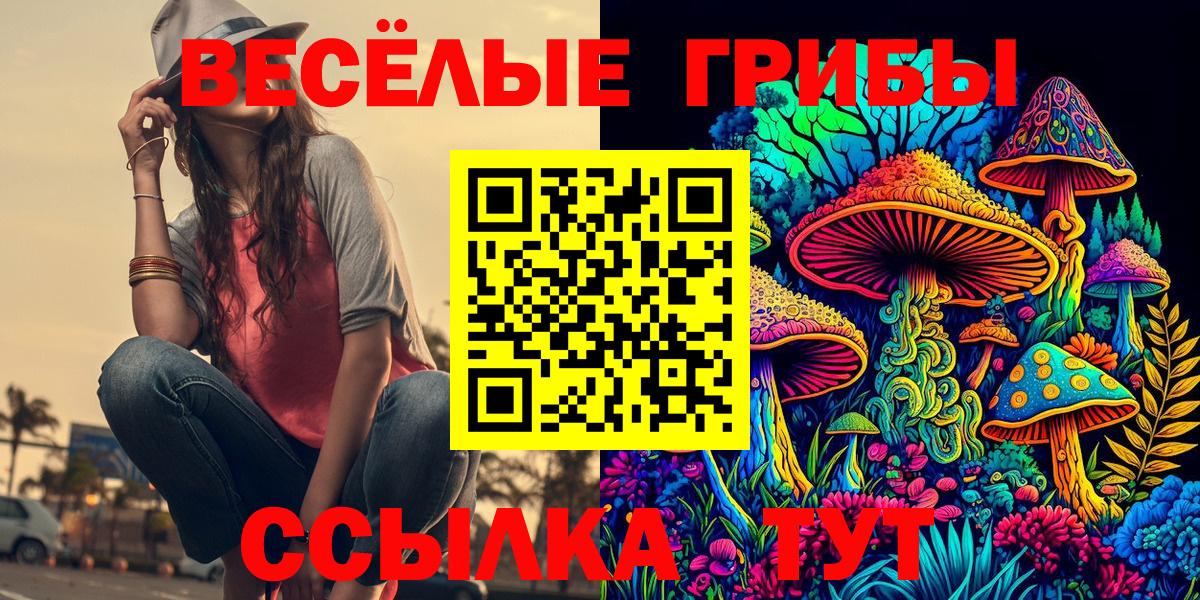 Псилоцибиновые грибы MAGIC MUSHROOMS  Галлюциногенные грибы Psilocybine cubensis  Вход с VPN  Нововоронеж 